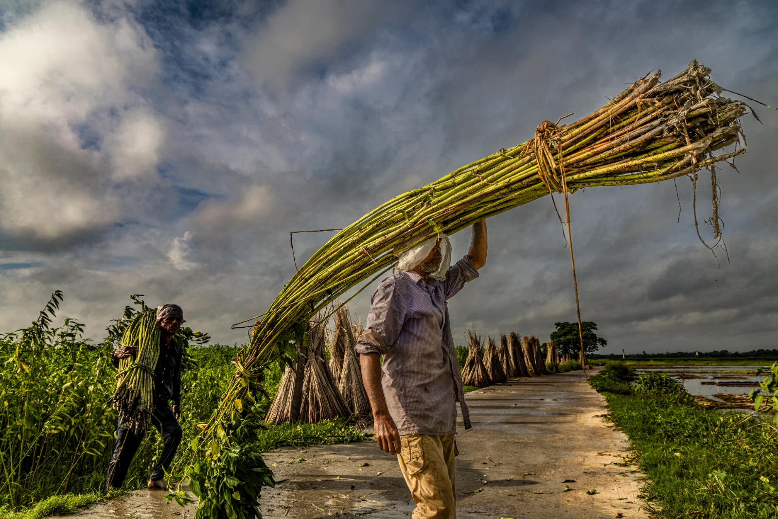 01  2D5A0896 copy 2